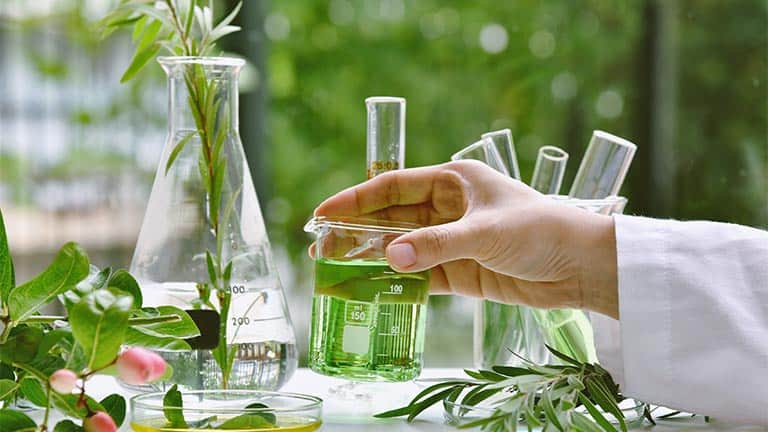  Herbs in the laboratory