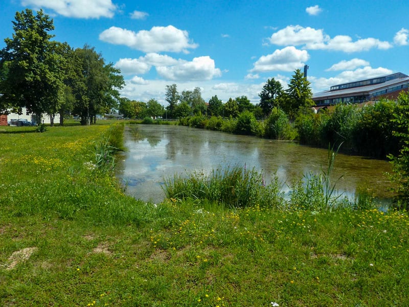 Natur Weiher SOLDAN